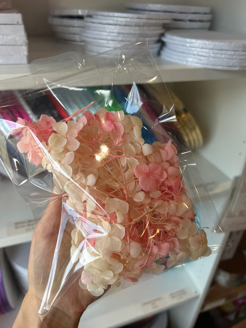 Dried Hydrangeas