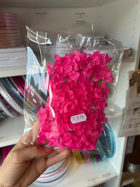 Dried Hydrangeas