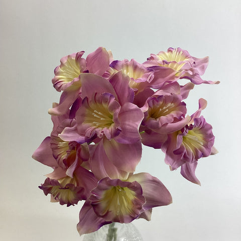 Lilac Ruffle Daffodils