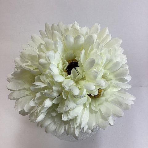 Ivory Gerbera Bunch