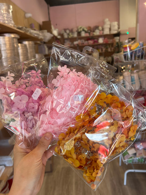 Dried Hydrangeas