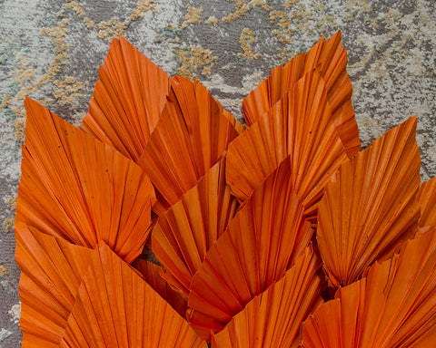 3x Dried Palm Spear Leaves ,colour pink fuscia orange/boho decor, dried vase flowers, palm leaf UK, palm decor, palm spear cake topper/: Fuscia Pink / 3 spears
