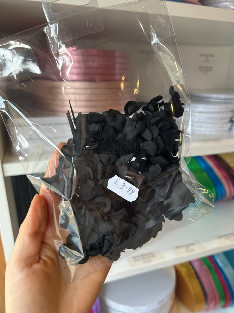 Dried Hydrangeas