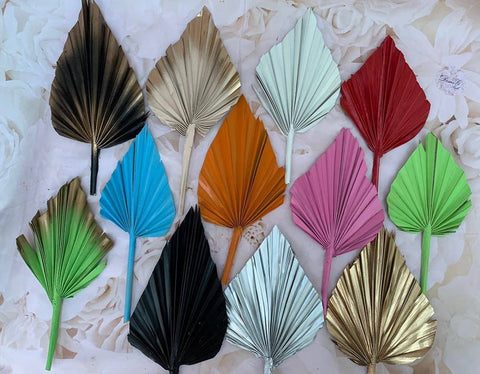 Dried Palm Spear Leaves ,black, pink, blue, gold, white, green orange palm spear, palm cake topper, palm decor, dried flowers cake decor: Silver