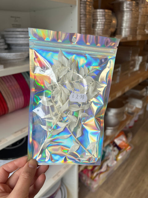 White Dried Ruscus Pack