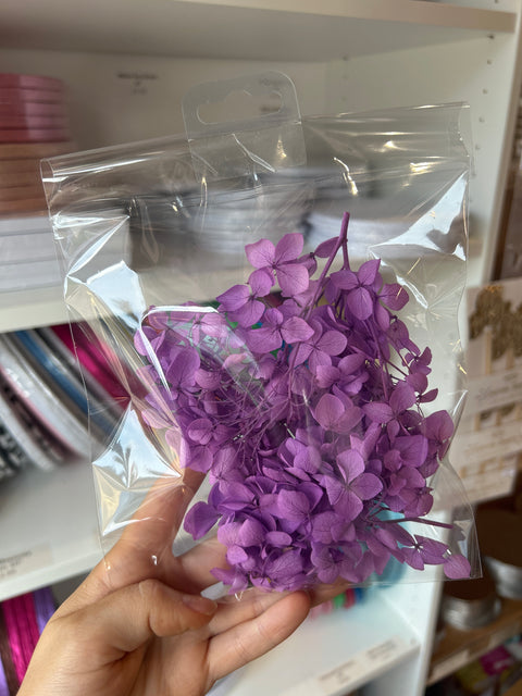 Dried Hydrangeas