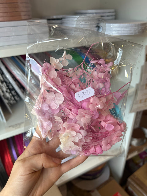 Dried Hydrangeas