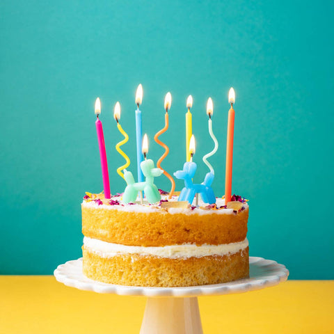 Balloon Dog Birthday Candles Pack of 9