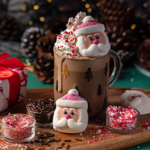 Hot Chocolate Santa Decorating Kit