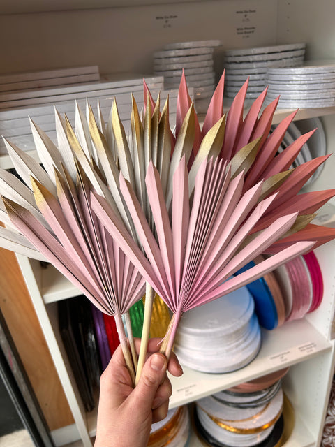 Sun Palm Spears