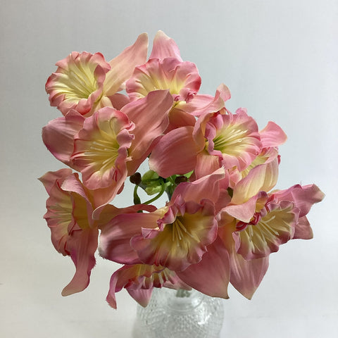 Pink Ruffle Daffodils