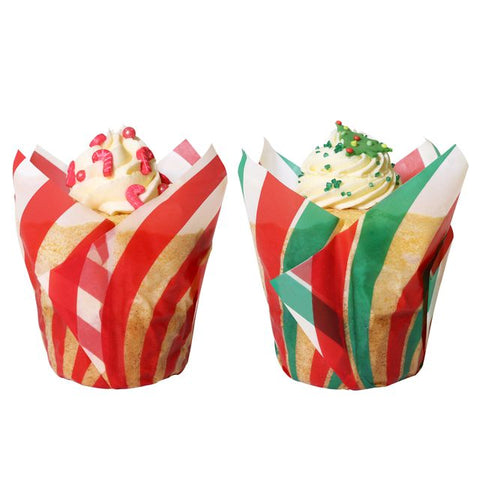 Candy Stripe Tulip Wrap Cases Pack of 24