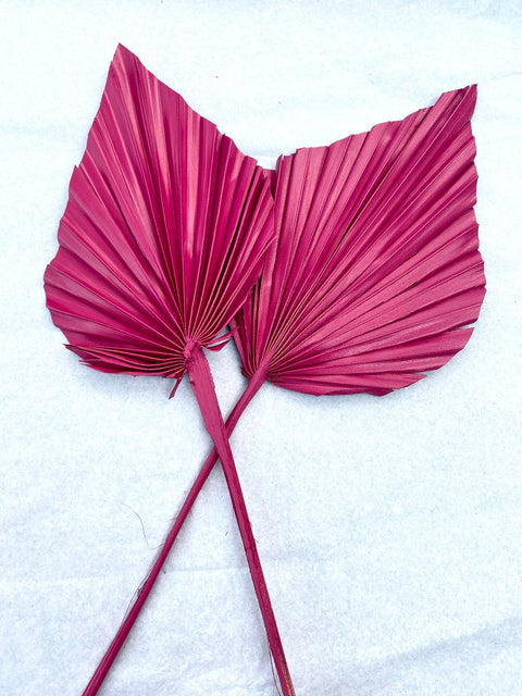 3x Dried Palm Spear Leaves ,colour pink fuscia orange/boho decor, dried vase flowers, palm leaf UK, palm decor, palm spear cake topper/: Fuscia Pink / 3 spears