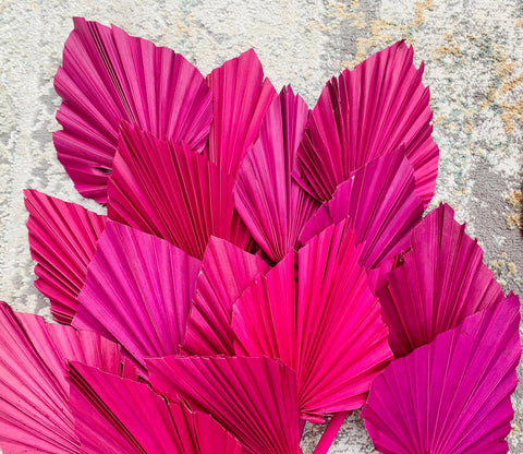 3x Dried Palm Spear Leaves ,colour pink fuscia orange/boho decor, dried vase flowers, palm leaf UK, palm decor, palm spear cake topper/: Fuscia Pink / 3 spears